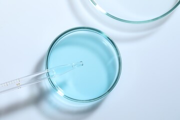 Pipette and petri dishes with liquid on white table, flat lay
