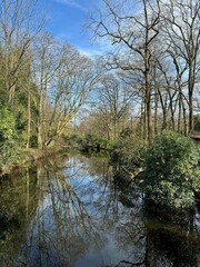 Picturesque view of river and trees in park on spring day
