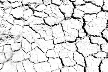 Texture soil dry crack background pattern of drought lack of water of nature white black old broken.
