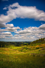 Custer State Park Wildlife Loop Road Summer Landscape with dramatic circular clouds in Custer, South Dakota, USA