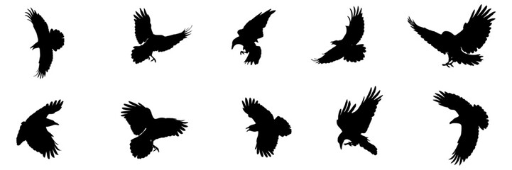 silhouette illustration  background crow stlye for a halloween day