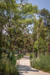 Jardín y Pabellón Escénico en Chapultepec 