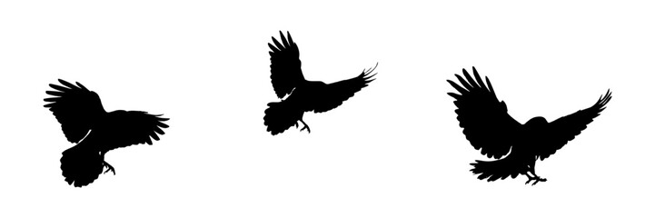 Fototapeta premium silhouette illustration background crow stlye for a halloween day