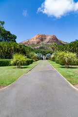 Path through the gardens 