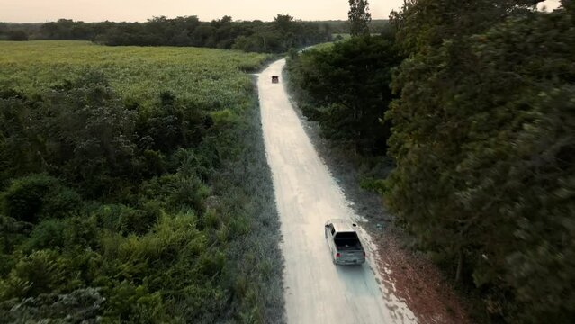 dos vehiculos todo terreno trocas y camionetas siguiendo sobre la terraceria sobre el camino de tierra en Corzal Belice distrito rodando por el camino entre arboles en el bosque 