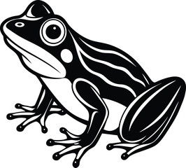 frog on white background eps 10