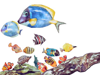 水彩画の子魚
