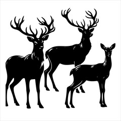 Silhouette of deer - vector illustration. Graphic black silhouettes of wild deers – male, female, and roe deer