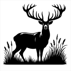 Silhouette of deer - vector illustration. Graphic black silhouettes of wild deers – male, female, and roe deer