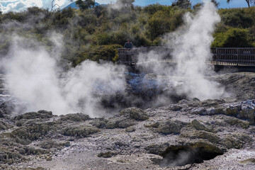 Geothermal Steam Vents in Volcanic Landscape