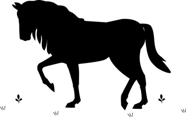 Silhouette of black mustang horse on white background