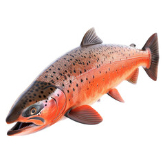 A realistic salmon fish with vibrant colors, perfect for seafood illustrations, fishing, and aquatic themes. transparent background