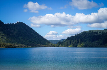 Serene Lake with Mountain and Forest View