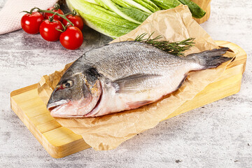 Raw dorada fish served rosemary