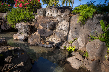 Two Ducks Sunning on a Waterfall.