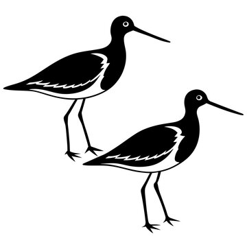 recommend clip art: Two set sandpiper icon vector art silhouette illustration on white background