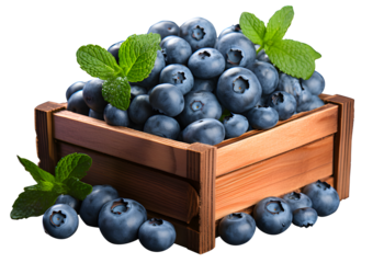 Stack bunches of Black Blueberry with green leaves in brown wooden crate or box isolated on cut out PNG or transparent background. Realistic fruit clipart template patt.