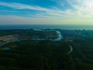 Aerial view tropical green tree mangrove forest river to sea bay