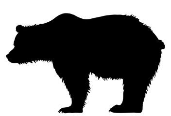 Silhouette of a bear