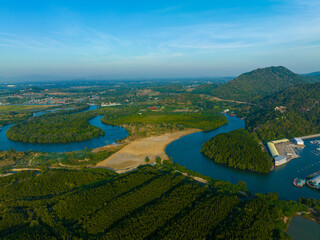 Aerial view tropical green tree mangrove forest river to sea bay