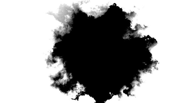 Transitions of black expanding paint stains on white backdrop Grunge Ink spreads and fills the screen. flows and streams. Ink bloom. Beautiful black watercolor ink leak drops transition paint 4K 3D
