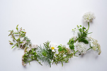 Small flowers and green leaves decoration. Spring flower and plants composition on white background.