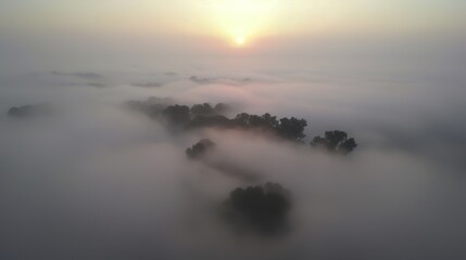 Fototapeta premium Sunrise drone capture over misty trees, pink and orange hues, rays of light piercing through clouds, serene nature landscape