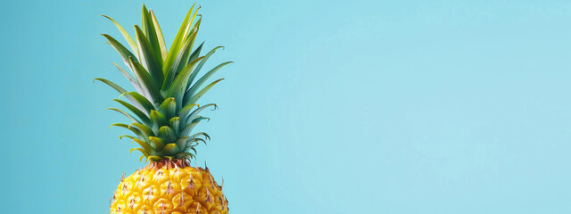A pastel yellow pineapple with soft green leaves on a light sky blue background. Summer concept banner with copy space