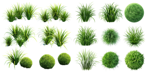 Grass Circle Set Set Isolated on Transparent or White Background, PNG