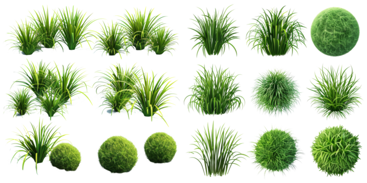 Grass Circle Set Set Isolated on Transparent or White Background, PNG - Powered by Adobe