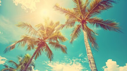 Fototapeta premium vintage tropical palm trees on blue sky background