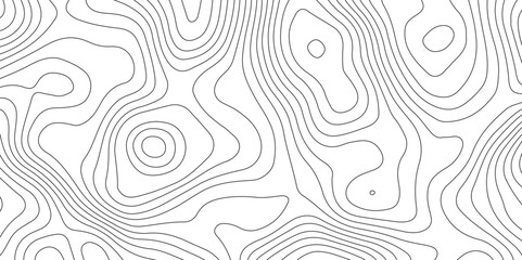 White background and black lines topography contour map. abstract geography curve wave line vector illustration. luxury topography contour map grid pattern backdrop background.