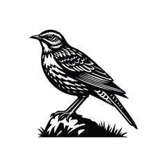 Obraz premium Lark Animal black silhouette vector with white color background