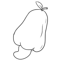 cashew fruit illustration hand drawn outline vector