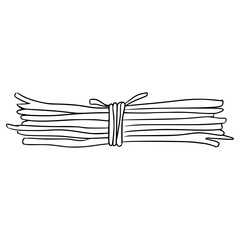 twigs bundle illustraiton hand drawn outline vector