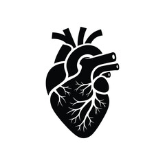 Heart Anatomy Silhouette - Vector Illustration of Human Cardiovascular System