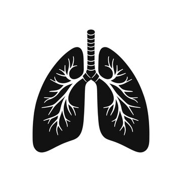 recommend clip art: Human Lungs Icon - Detailed Black and White Medical Vector Illustration