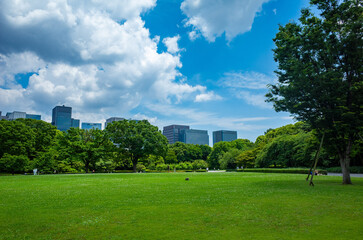皇居東御苑から見る丸の内の高層ビル群