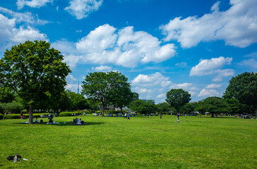 東京・木場公園