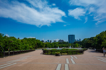 東京・木場公園