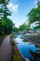 大横川親水公園と東京スカイツリー
