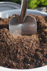 Gardening in the garden, using a shovel, surrounded by nature and sunlight, enjoying being outside