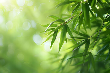 Obraz premium Close-up of lush green bamboo leaves in sunlight. Nature background.
