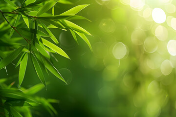 Obraz premium Close up of lush green bamboo leaves with sunlit bokeh background.