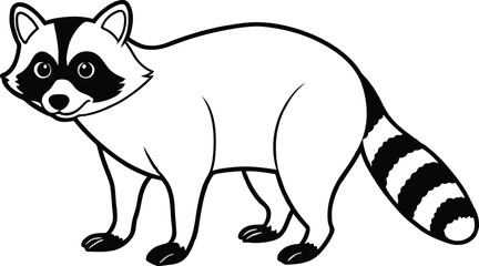 raccoon vector illustration eps 10