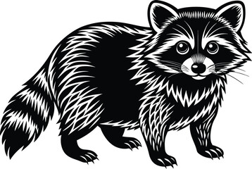 raccoon vector illustration eps 10
