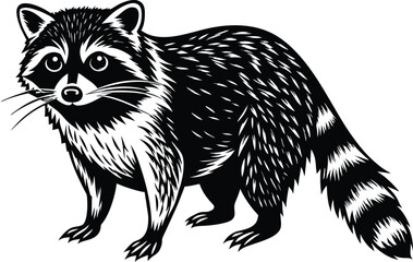 raccoon vector illustration eps 10