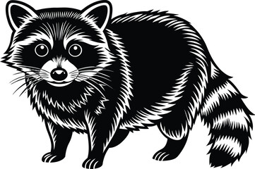 raccoon vector illustration eps 10