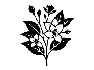 Vector set with outline Jasmine flowers, bud, and leaves in black isolated on white background. Ornate floral elements for spring design and coloring book. Jasmine flower in contour or line art style