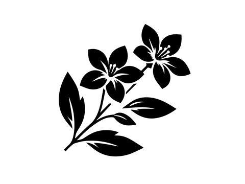 Vector set with outline Jasmine flowers, bud, and leaves in black isolated on white background. Ornate floral elements for spring design and coloring book. Jasmine flower in contour or line art style